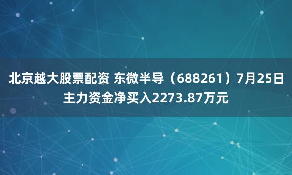 北京越大股票配资 东微半导（688261）7月25日主力资金净买入2273.87万元