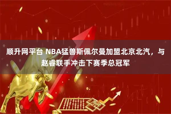 顺升网平台 NBA猛兽斯佩尔曼加盟北京北汽，与赵睿联手冲击下赛季总冠军