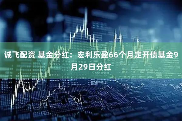 诚飞配资 基金分红:宏利乐盈66个月定开债基金9月29日分红