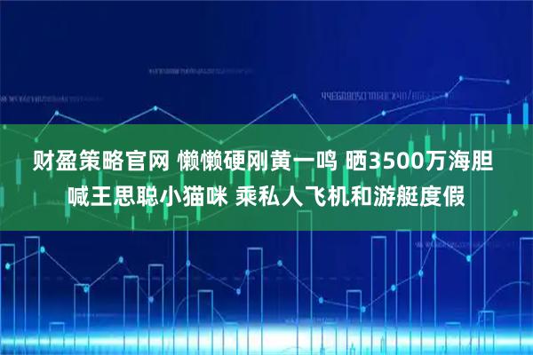 财盈策略官网 懒懒硬刚黄一鸣 晒3500万海胆 喊王思聪小猫咪 乘私人飞机和游艇度假