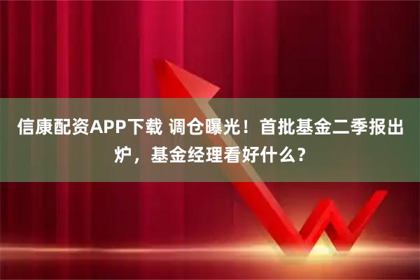 信康配资APP下载 调仓曝光！首批基金二季报出炉，基金经理看好什么？